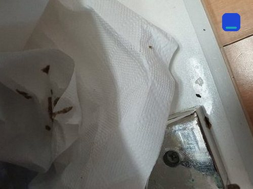일산 · 전화 상담 뒤 방문 고객 글 사진